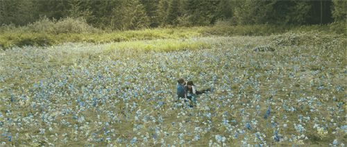 edward-bella-sitting-field.jpg