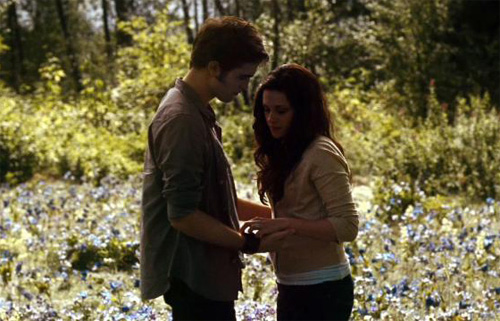 field-bella-edward.jpg