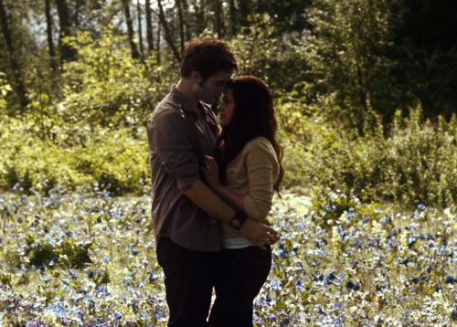 in-field-bella-edward.jpg