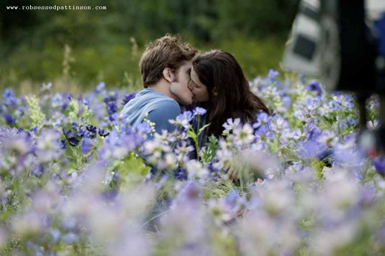 More-Meadow-Stills-edward-and-bella-10419027-1300-866.jpg